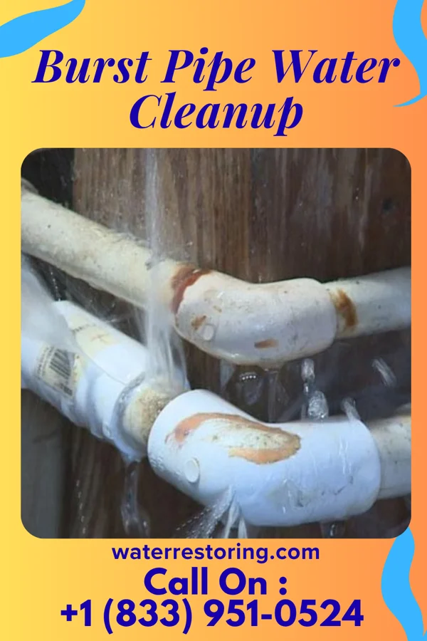 Burst Pipe Water Cleanup in Sayreville, NJ