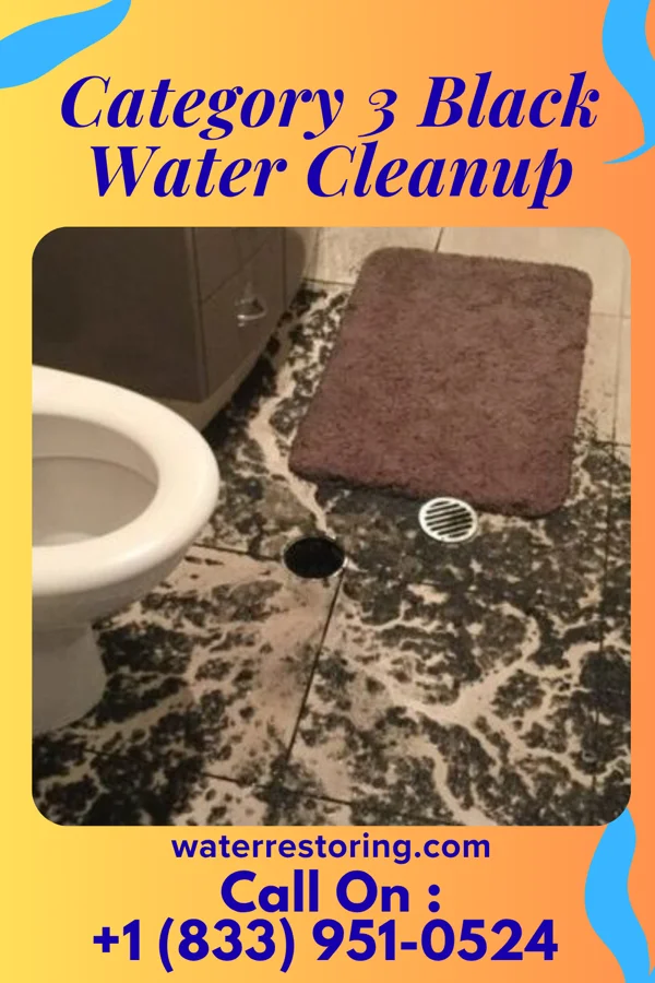 Category 3 Black Water Cleanup in Sayreville, NJ